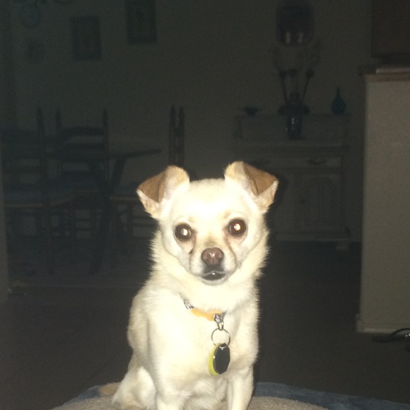 Meet your Posher, Kathleen - Picture 2 of 2